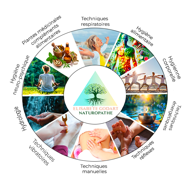 naturopathie-roue-techniques-cabinet-naturozen-evreux-godart-elisabete